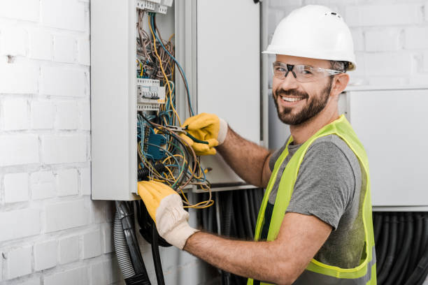 Best Electric Panel Repair  in Cedar Falls, IA