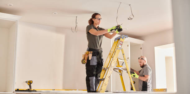 Best Home Electrical Repair  in Cedar Falls, IA